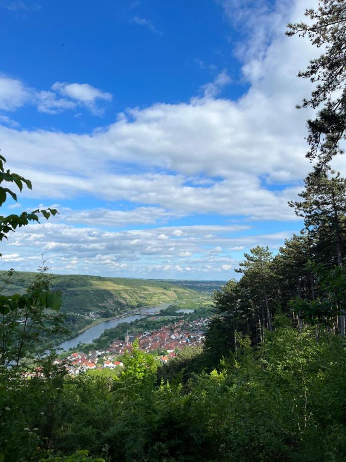 Maindrei - Schlafen Am Fluss Hotell Margetshöchheim Exteriör bild